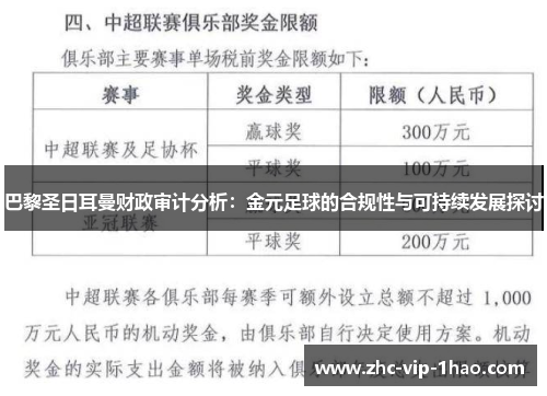 巴黎圣日耳曼财政审计分析:金元足球的合规性与可持续发展探讨 巴黎圣日耳曼财政审计分析:金元足球的合规性与可持续发展探讨