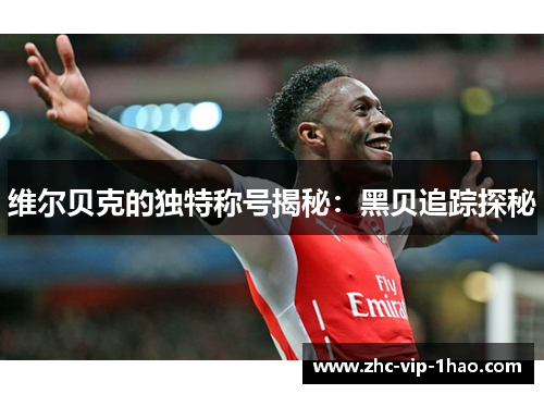 维尔贝克的独特称号揭秘：黑贝追踪探秘